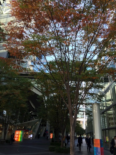 f:id:rain-cascade:20151128072716j:image f:id:rain-cascade:20151128072716j:image