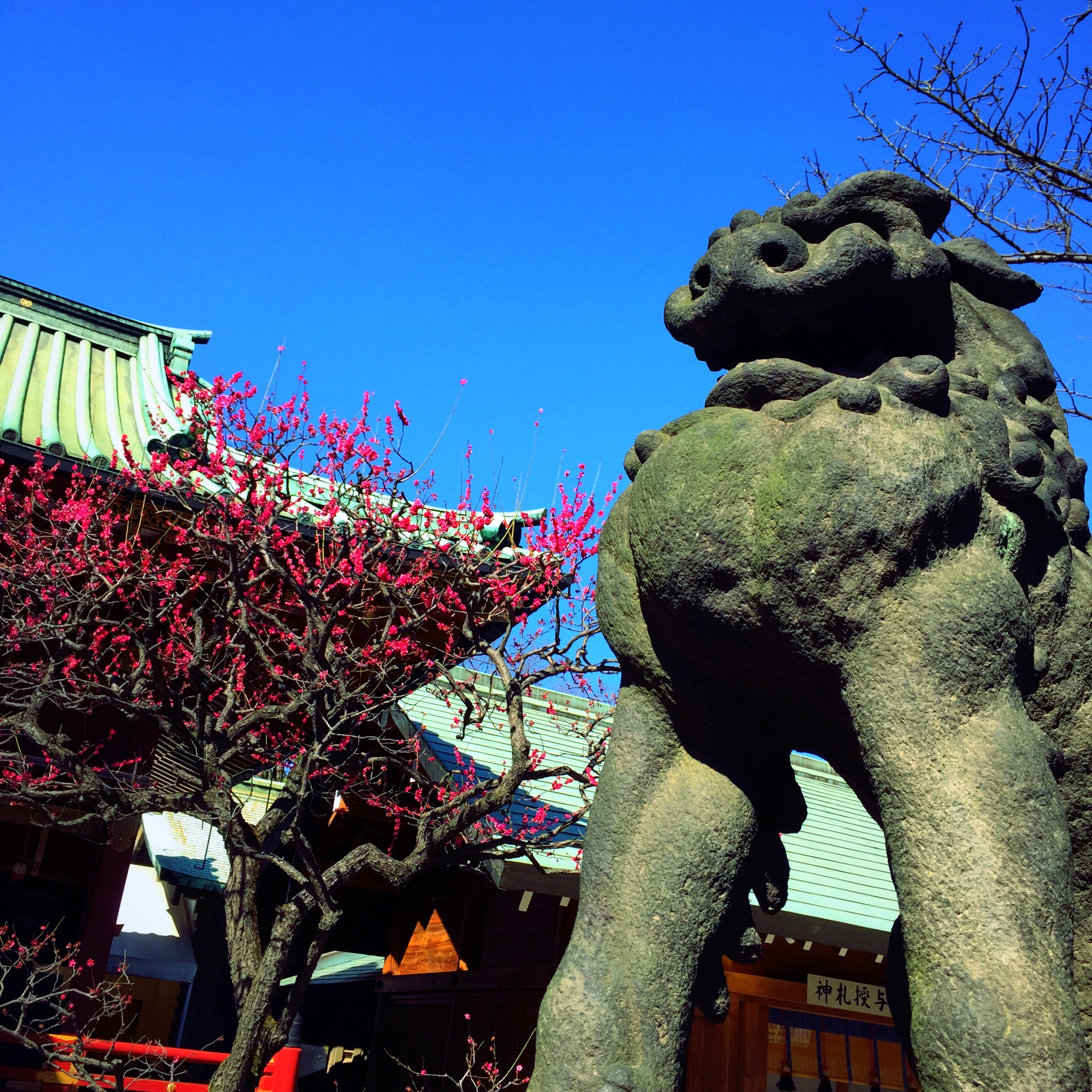 f:id:rain-cascade:20160301162902j:image f:id:rain-cascade:20160301162902j:image