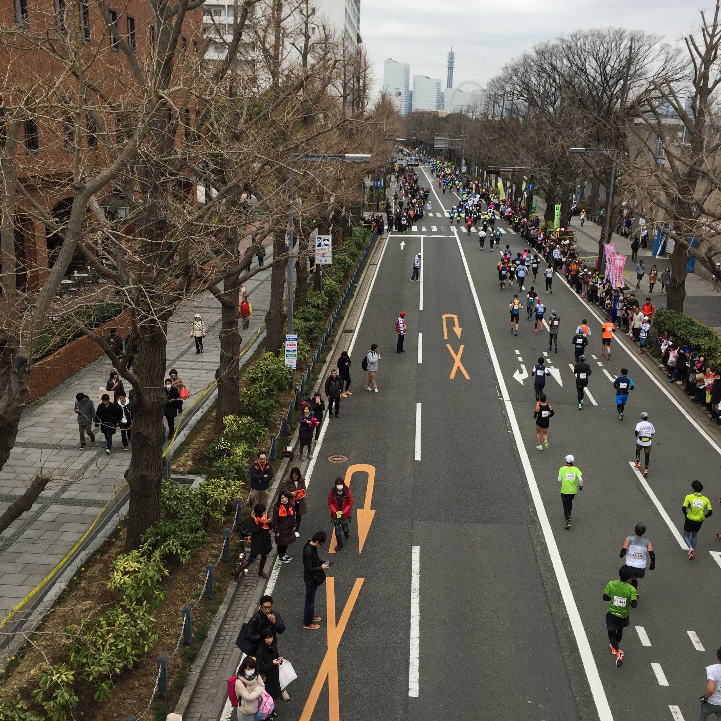f:id:rain-cascade:20160313161020j:image f:id:rain-cascade:20160313161020j:image