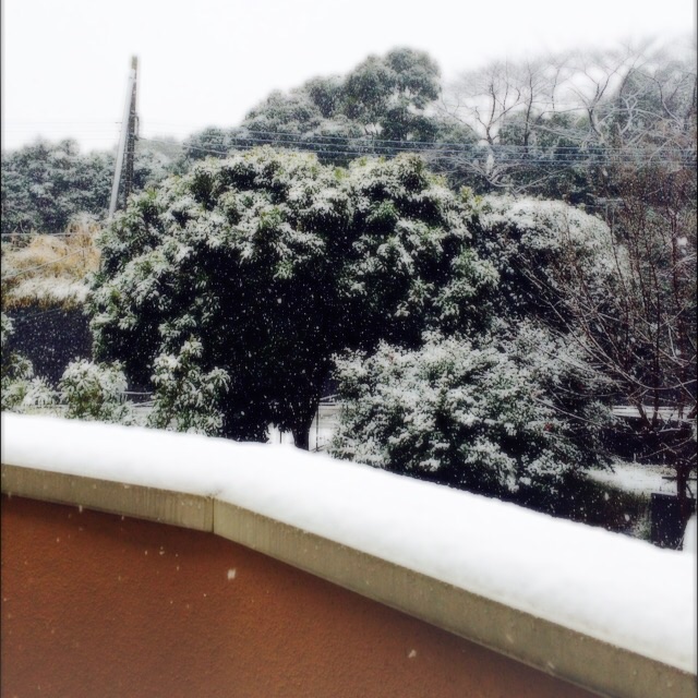 f:id:rainDROPSrain:20150130102509j:plain f:id:rainDROPSrain:20150130102509j:plain