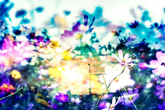 f:id:rainbow-fountain:20160207203716j:image f:id:rainbow-fountain:20160207203716j:image