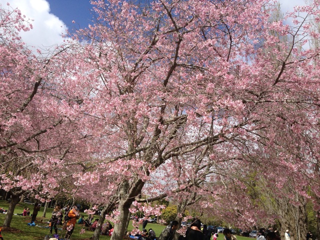 f:id:rainbow0122:20150412212648j:plain f:id:rainbow0122:20150412212648j:plain