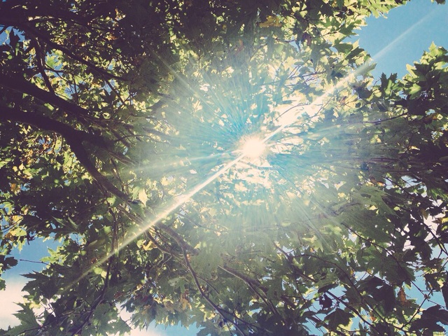 f:id:rainbow0122:20150602181909j:plain f:id:rainbow0122:20150602181909j:plain