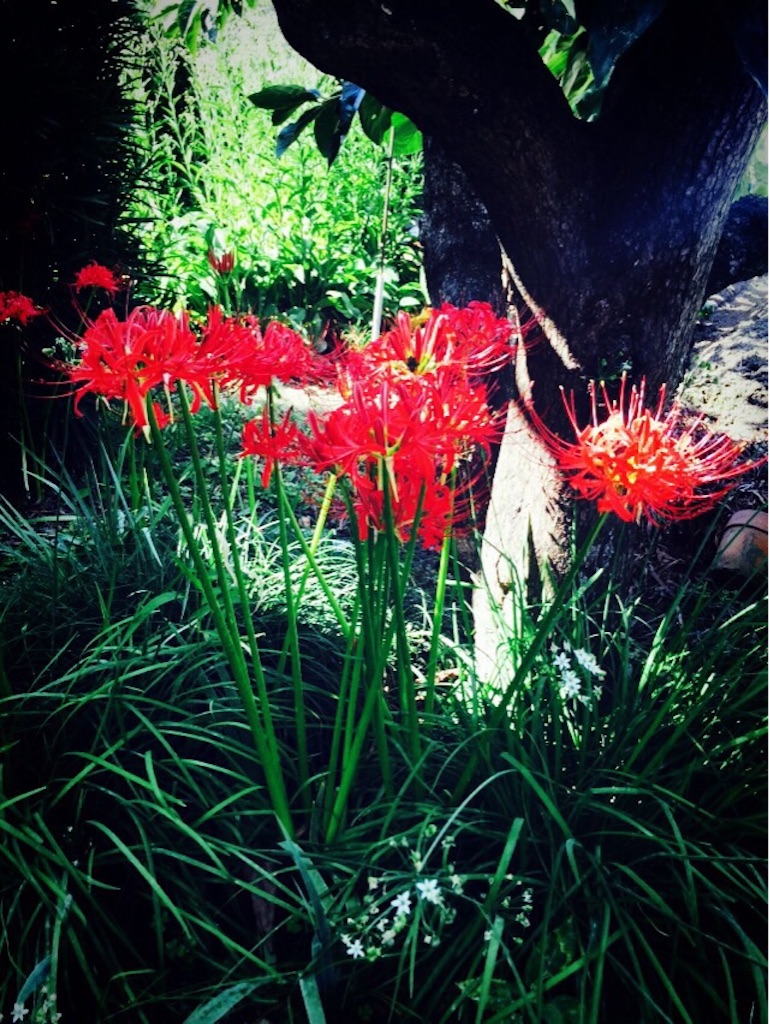 f:id:rainbow0122:20150921193355j:image f:id:rainbow0122:20150921193355j:image