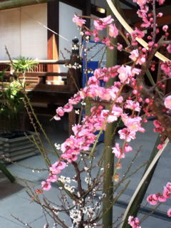 f:id:rainbowstation:20130210133145j:plain f:id:rainbowstation:20130210133145j:plain