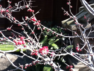 f:id:rainbowstation:20130210133218j:plain f:id:rainbowstation:20130210133218j:plain