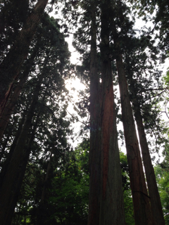 f:id:rainbowstation:20130917182747j:plain f:id:rainbowstation:20130917182747j:plain