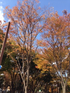 f:id:rainbowstation:20131123113831j:plain f:id:rainbowstation:20131123113831j:plain