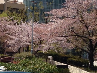 f:id:rainbowstation:20140409200511j:plain f:id:rainbowstation:20140409200511j:plain