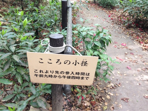 f:id:rainbowstation:20160416215252j:image f:id:rainbowstation:20160416215252j:image