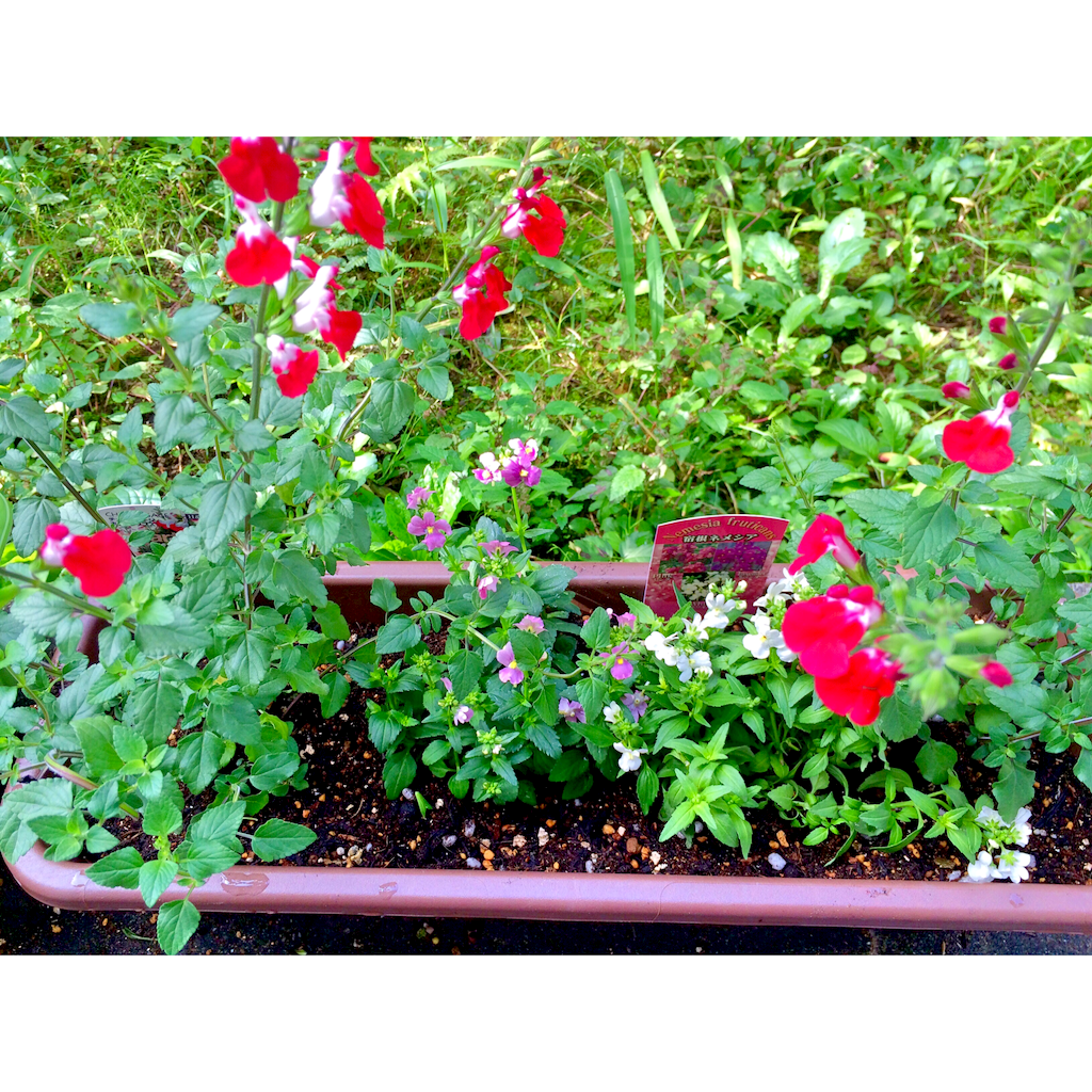 f:id:raindroppop:20151012173257p:image f:id:raindroppop:20151012173257p:image