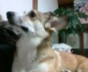 f:id:rainha-rie10:20110218164300j:image f:id:rainha-rie10:20110218164300j:image