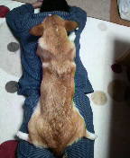 f:id:rainha-rie10:20110219212300j:image f:id:rainha-rie10:20110219212300j:image