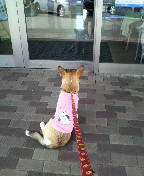 f:id:rainha-rie10:20110220105400j:image f:id:rainha-rie10:20110220105400j:image