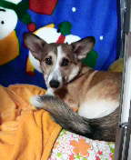 f:id:rainha-rie10:20110220222900j:image f:id:rainha-rie10:20110220222900j:image