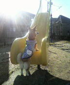 f:id:rainha-rie10:20110221083100j:image f:id:rainha-rie10:20110221083100j:image