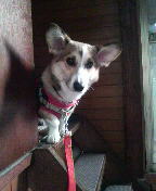 f:id:rainha-rie10:20110228162400j:image f:id:rainha-rie10:20110228162400j:image