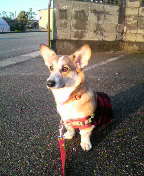 f:id:rainha-rie10:20110228171000j:image f:id:rainha-rie10:20110228171000j:image