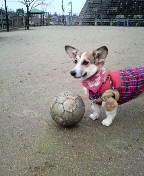 f:id:rainha-rie10:20110302082000j:image f:id:rainha-rie10:20110302082000j:image