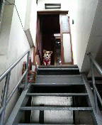 f:id:rainha-rie10:20110306091600j:image f:id:rainha-rie10:20110306091600j:image