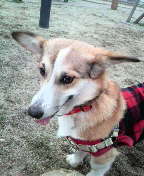 f:id:rainha-rie10:20110306094000j:image f:id:rainha-rie10:20110306094000j:image
