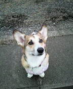 f:id:rainha-rie10:20110308162500j:image f:id:rainha-rie10:20110308162500j:image