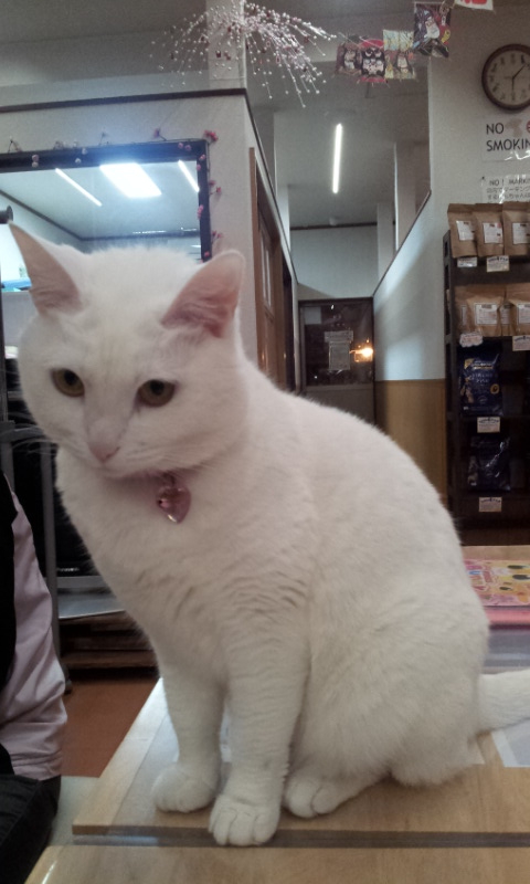 f:id:rainha-rie10:20120129180459j:image:w360 f:id:rainha-rie10:20120129180459j:image:w360