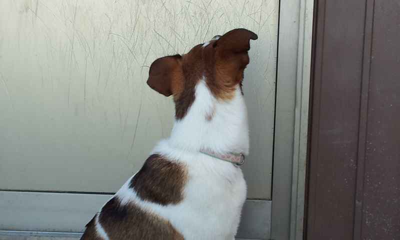 f:id:rainha-rie10:20120408154939j:image:w360 f:id:rainha-rie10:20120408154939j:image:w360