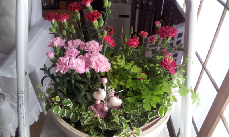 f:id:rainha-rie10:20120514083941j:image:w360 f:id:rainha-rie10:20120514083941j:image:w360