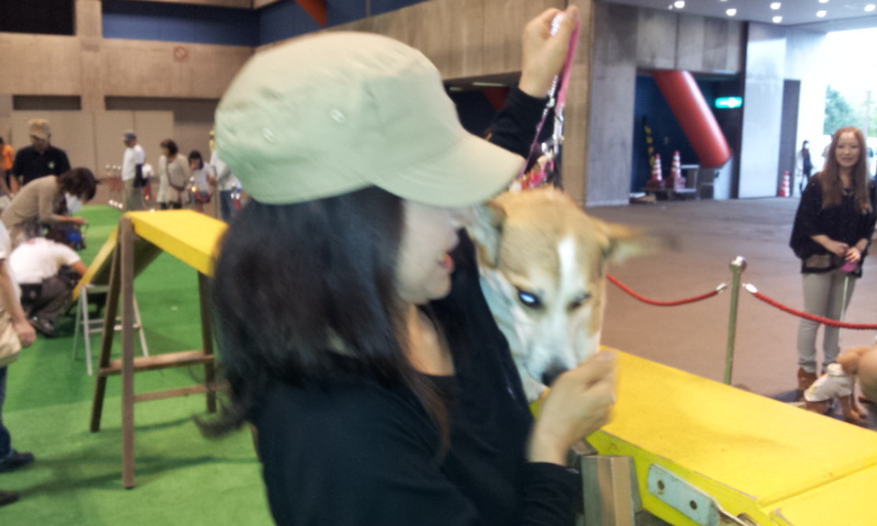 f:id:rainha-rie10:20120923144136j:image:w360 f:id:rainha-rie10:20120923144136j:image:w360
