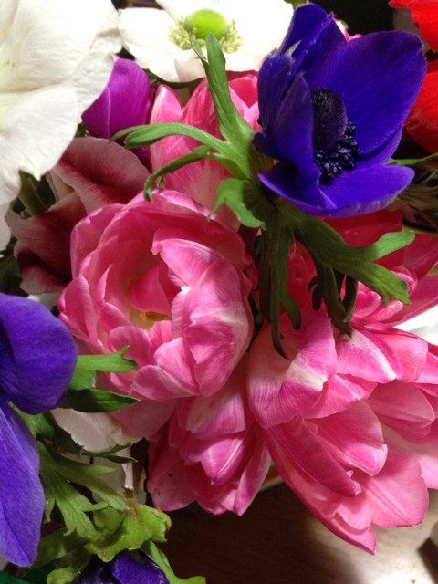 f:id:rainy63garden:20130805161638j:plain f:id:rainy63garden:20130805161638j:plain