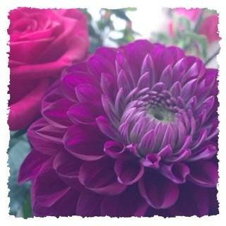 f:id:rainy63garden:20131101225109j:plain f:id:rainy63garden:20131101225109j:plain