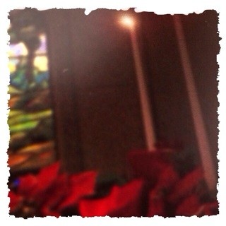 f:id:rainy63garden:20131205094052j:plain f:id:rainy63garden:20131205094052j:plain