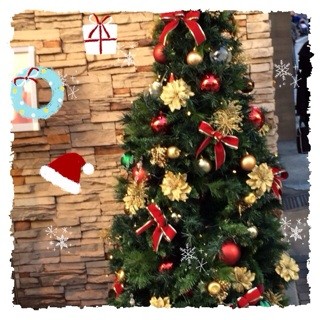 f:id:rainy63garden:20131215170240j:plain f:id:rainy63garden:20131215170240j:plain