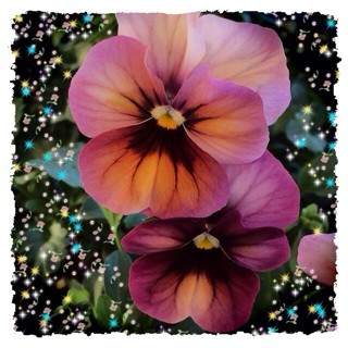 f:id:rainy63garden:20131229102150j:plain f:id:rainy63garden:20131229102150j:plain