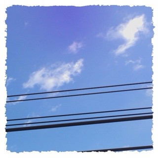 f:id:rainy63garden:20140205185036j:plain f:id:rainy63garden:20140205185036j:plain