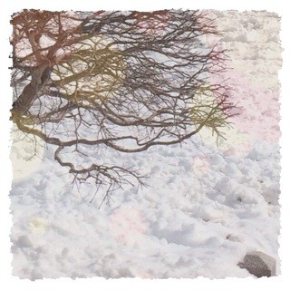 f:id:rainy63garden:20140210141308j:plain f:id:rainy63garden:20140210141308j:plain