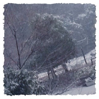 f:id:rainy63garden:20140214093323j:plain f:id:rainy63garden:20140214093323j:plain