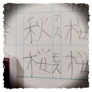 f:id:rainy63garden:20140219143432j:plain f:id:rainy63garden:20140219143432j:plain