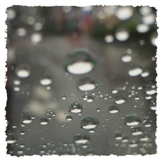 f:id:rainy63garden:20140607194138j:plain f:id:rainy63garden:20140607194138j:plain