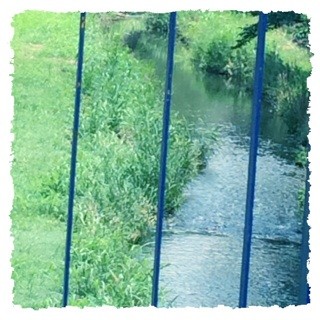 f:id:rainy63garden:20140728125259j:plain f:id:rainy63garden:20140728125259j:plain
