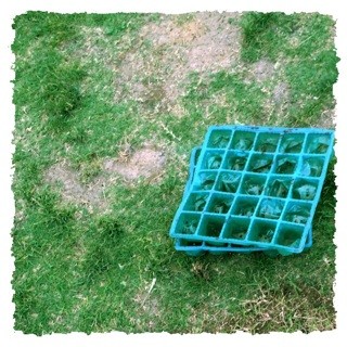f:id:rainy63garden:20140729152751j:plain f:id:rainy63garden:20140729152751j:plain