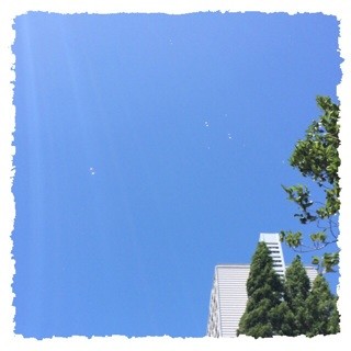 f:id:rainy63garden:20140805212803j:plain f:id:rainy63garden:20140805212803j:plain