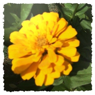 f:id:rainy63garden:20140811214419j:plain f:id:rainy63garden:20140811214419j:plain