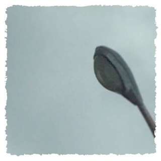 f:id:rainy63garden:20140830170027j:plain f:id:rainy63garden:20140830170027j:plain