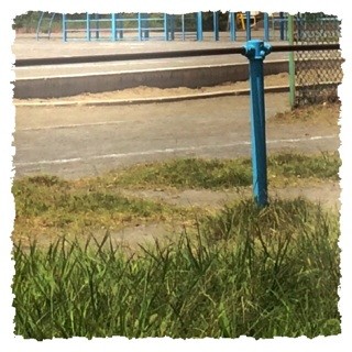 f:id:rainy63garden:20140913163241j:plain f:id:rainy63garden:20140913163241j:plain