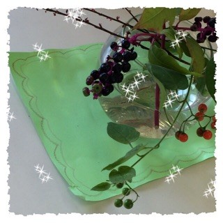 f:id:rainy63garden:20141016151712j:plain f:id:rainy63garden:20141016151712j:plain