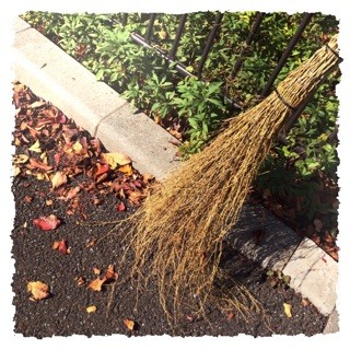 f:id:rainy63garden:20141029134351j:plain f:id:rainy63garden:20141029134351j:plain