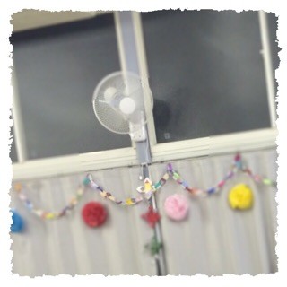 f:id:rainy63garden:20141114182353j:plain f:id:rainy63garden:20141114182353j:plain