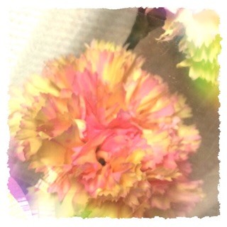 f:id:rainy63garden:20141121141418j:plain f:id:rainy63garden:20141121141418j:plain